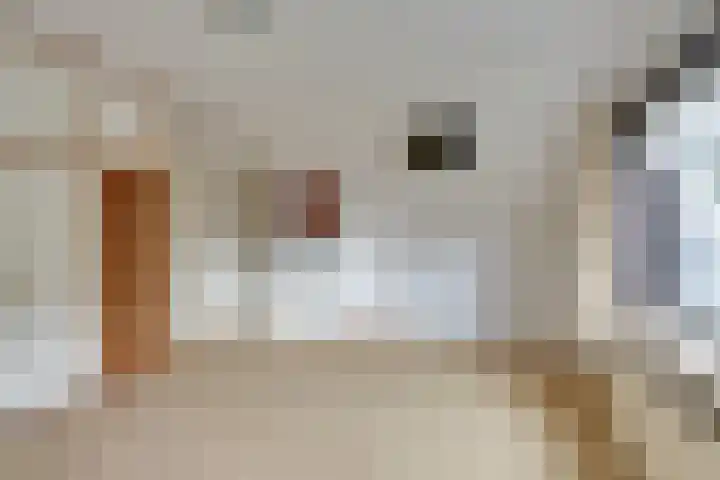 Purmerenderweg 206 Zuidoostbeemster thumbnail 34