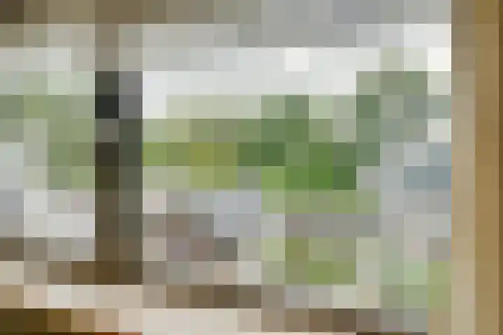 Purmerenderweg 206 Zuidoostbeemster thumbnail 35