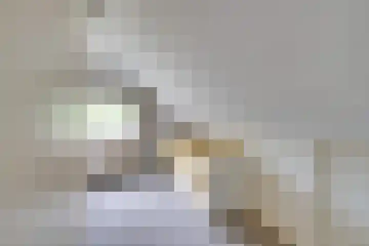 Purmerenderweg 206 Zuidoostbeemster thumbnail 38