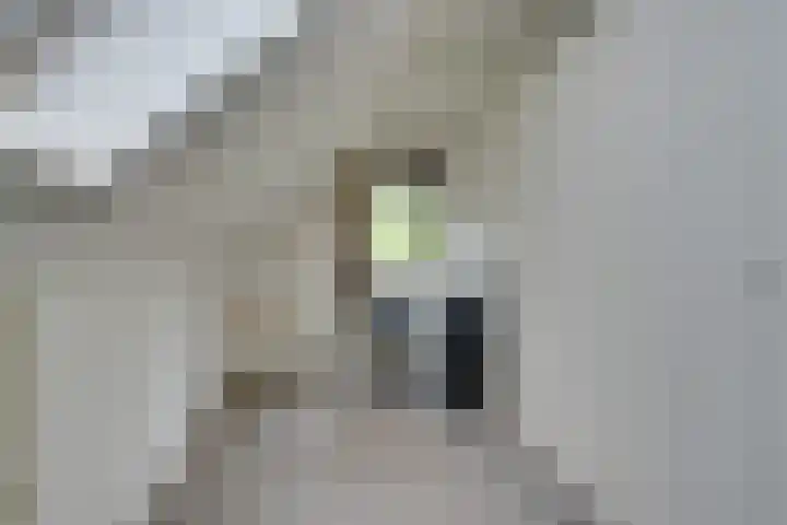 Purmerenderweg 206 Zuidoostbeemster thumbnail 40
