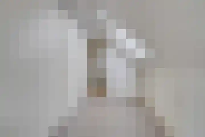 Purmerenderweg 206 Zuidoostbeemster thumbnail 41