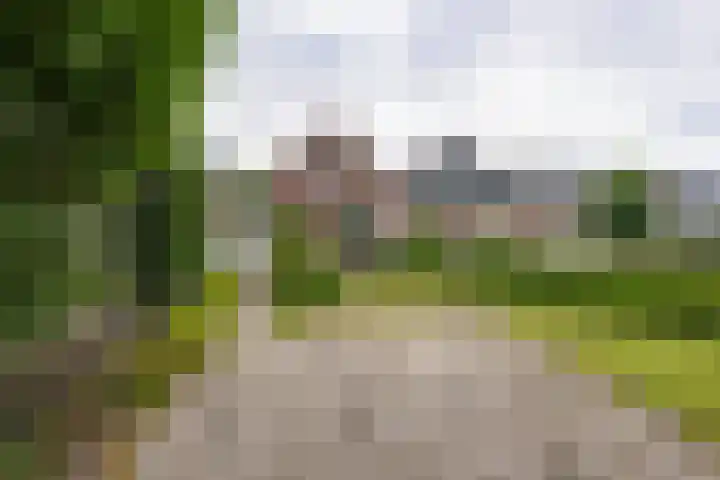 Purmerenderweg 206 Zuidoostbeemster thumbnail 5