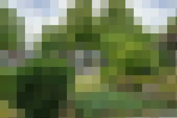 Purmerenderweg 206 Zuidoostbeemster thumbnail 6