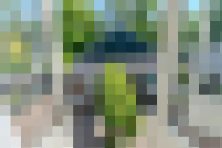 Purmerenderweg 208 Zuidoostbeemster thumbnail 16