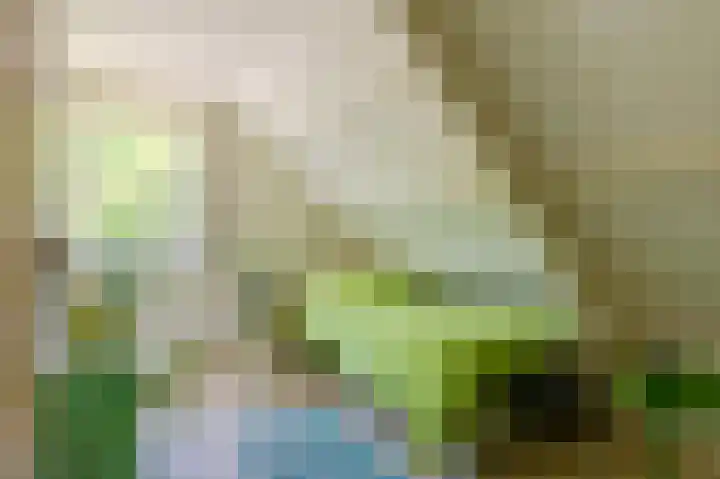 Purmerenderweg 208 Zuidoostbeemster thumbnail 21