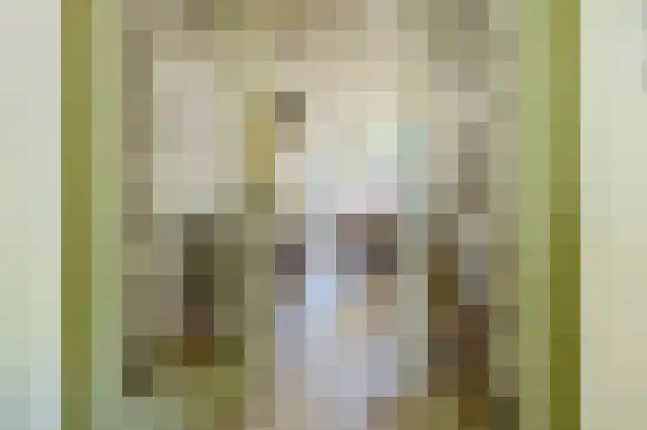 Purmerenderweg 208 Zuidoostbeemster thumbnail 5