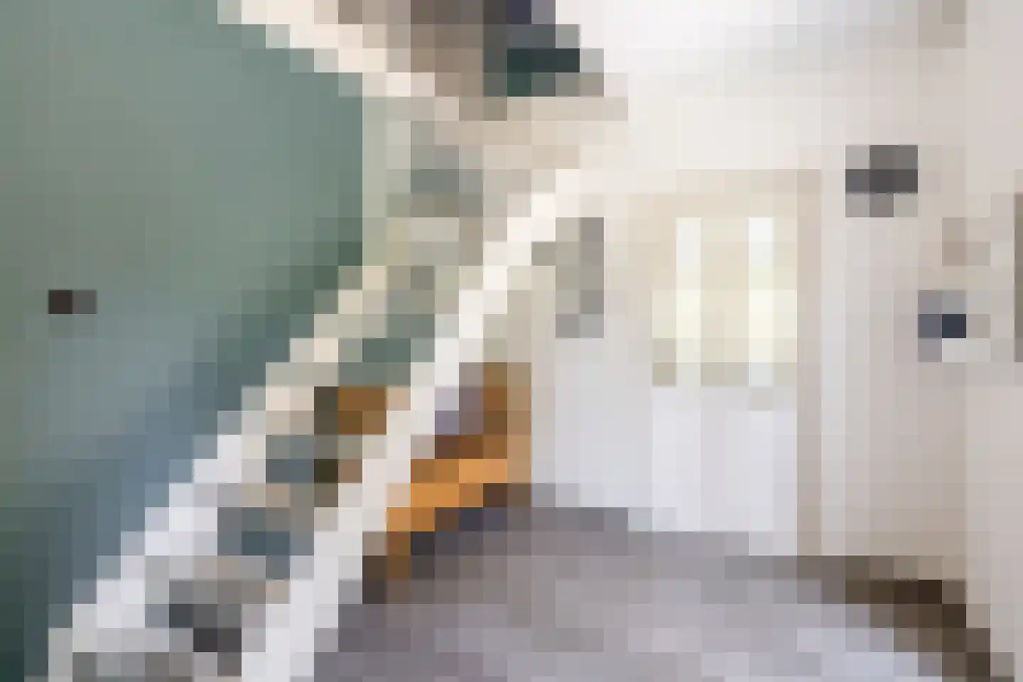 Purmerenderweg 22 Purmerend thumbnail 12