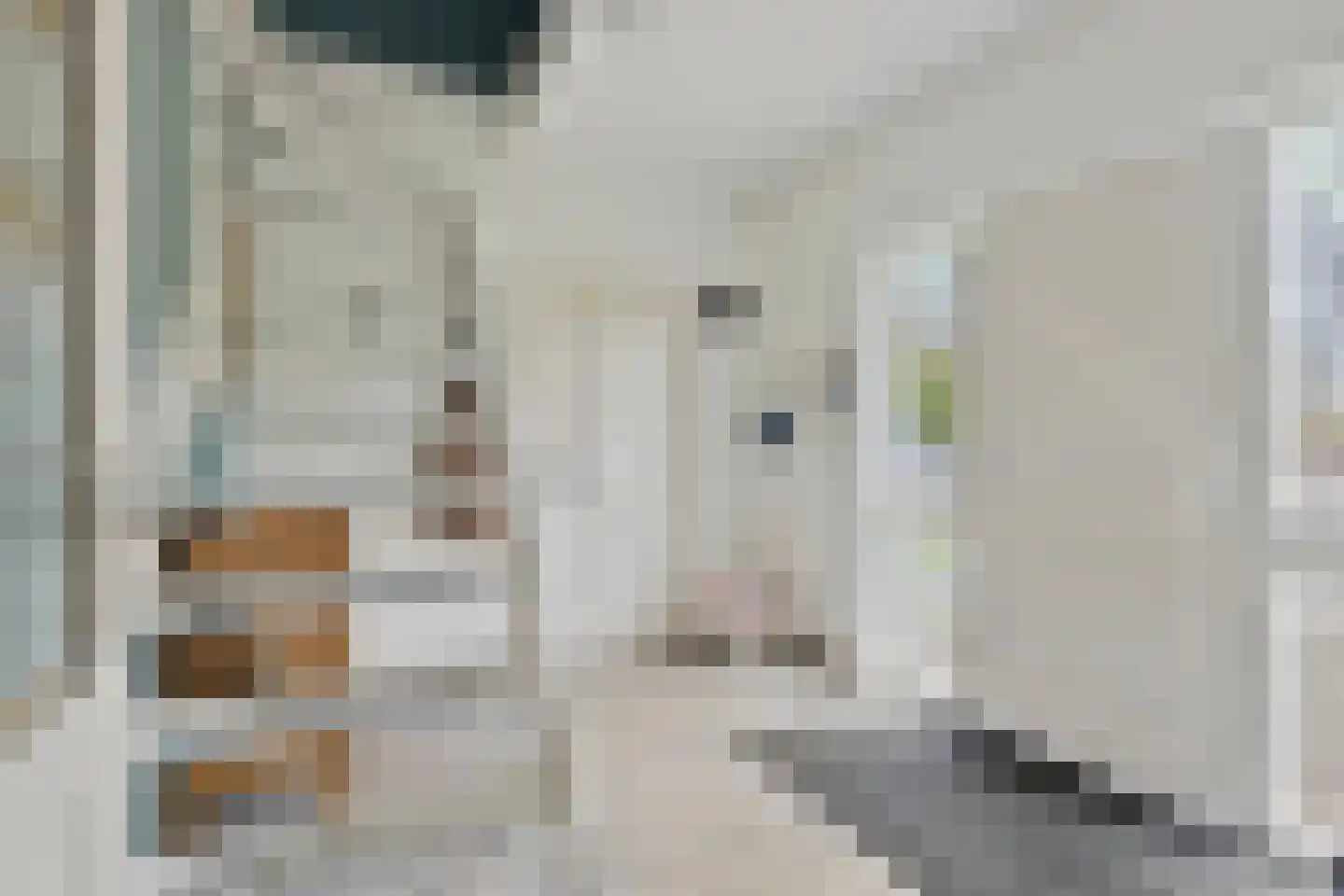 Purmerenderweg 22 Purmerend thumbnail 15