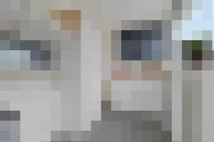 Purmerenderweg 22 Purmerend thumbnail 31