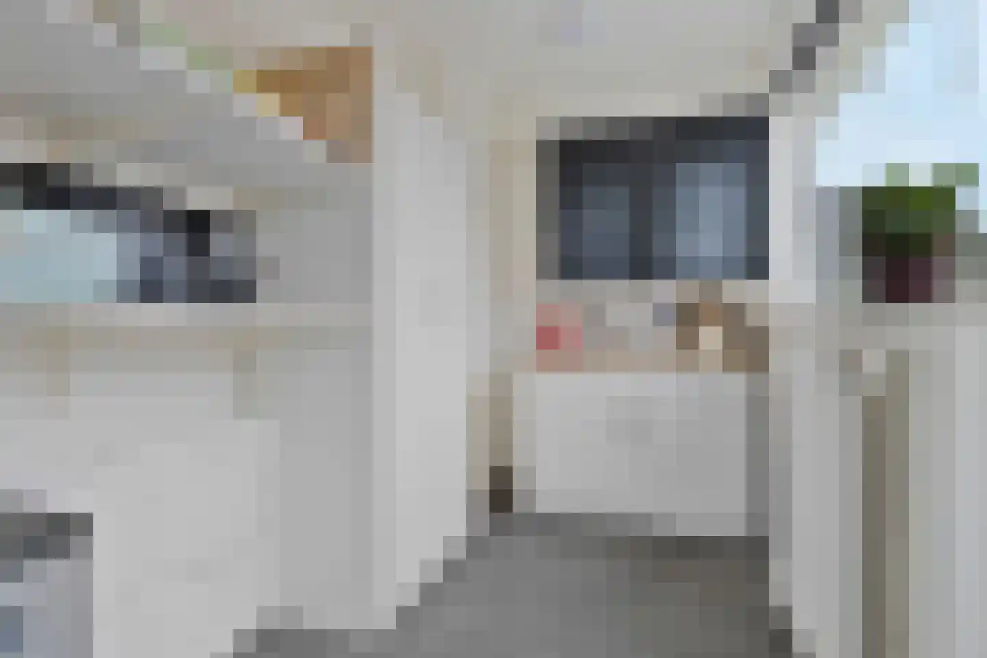 Purmerenderweg 22 Purmerend thumbnail 31
