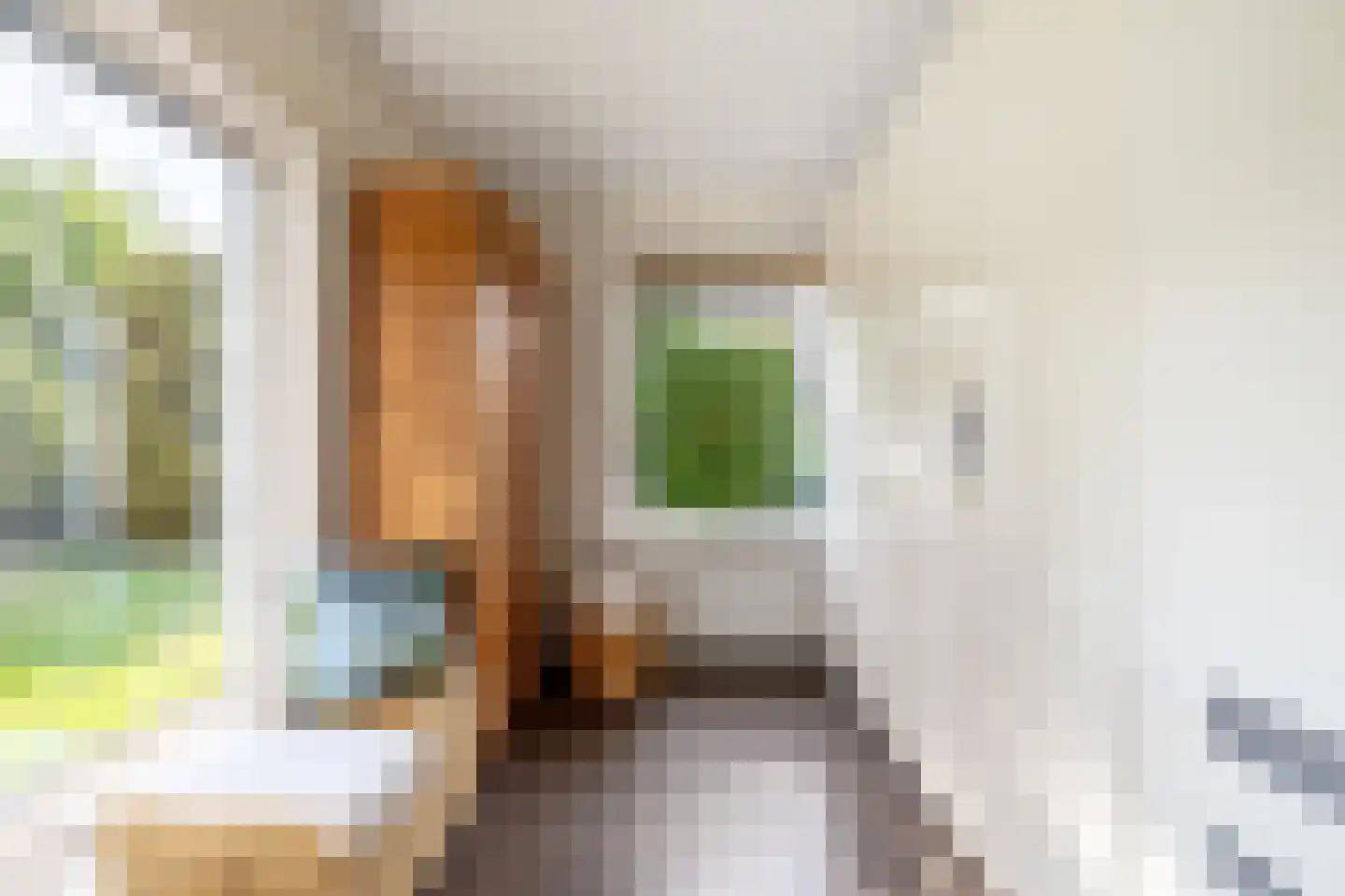 Purmerenderweg 22 Purmerend thumbnail 34