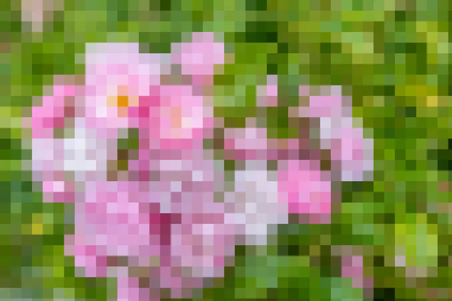 Purmerenderweg 22 Purmerend thumbnail 61