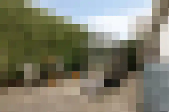 Purmerenderweg 22 Purmerend thumbnail 69