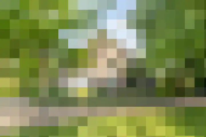 Purmerenderweg 6 Noordbeemster