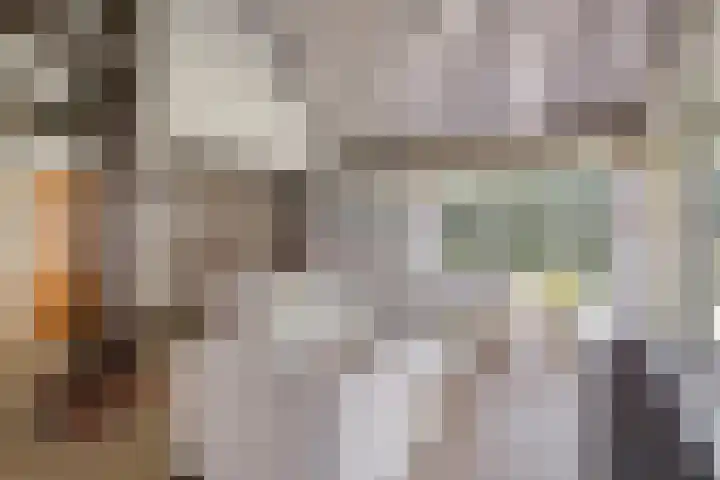 Purmerenderweg 6 Noordbeemster thumbnail 12