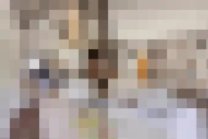 Purmerenderweg 6 Noordbeemster thumbnail 13
