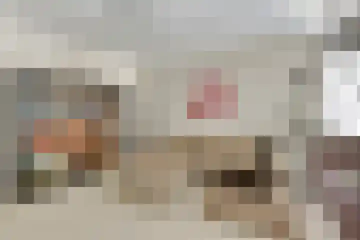 Purmerenderweg 6 Noordbeemster thumbnail 21