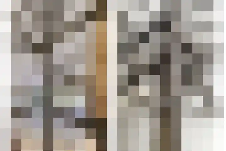 Purmerenderweg 6 Noordbeemster thumbnail 24