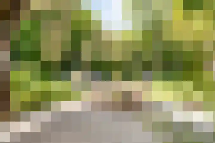 Purmerenderweg 6 Noordbeemster thumbnail 35