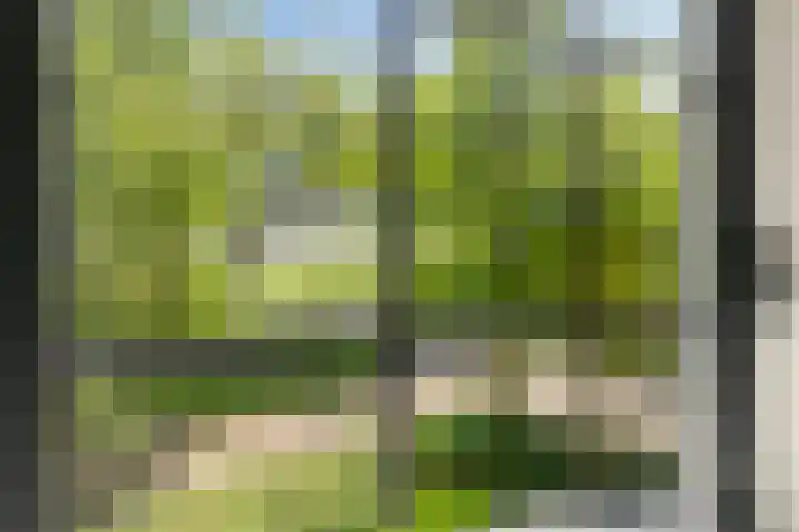 Purmerenderweg 6 Noordbeemster thumbnail 43