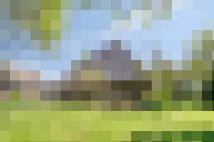 Purmerenderweg 6 Noordbeemster thumbnail 5