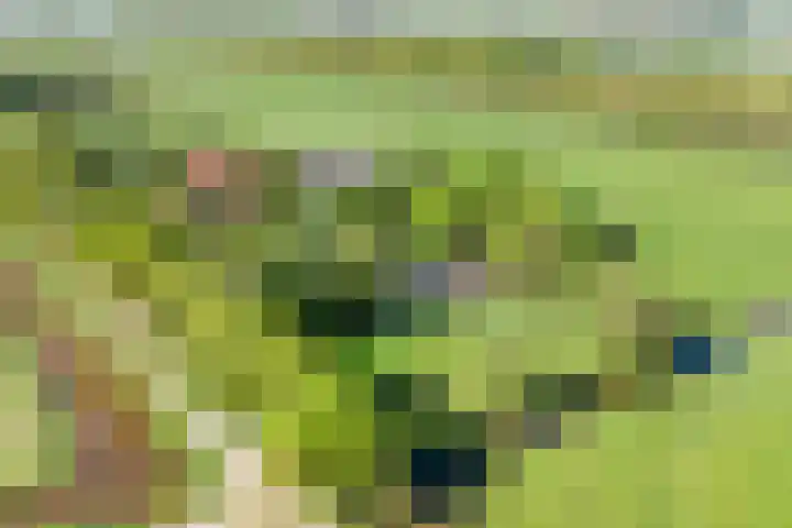 Purmerenderweg 6 Noordbeemster thumbnail 52