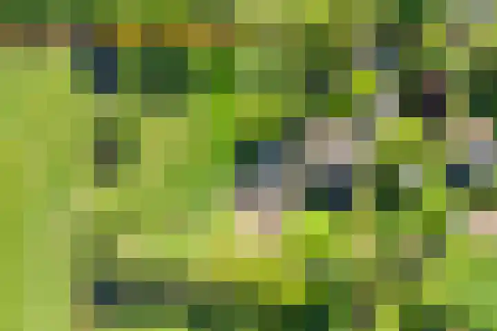 Purmerenderweg 6 Noordbeemster thumbnail 53
