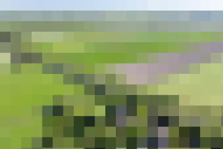Purmerenderweg 6 Noordbeemster thumbnail 54