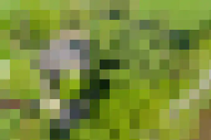 Purmerenderweg 6 Noordbeemster thumbnail 55