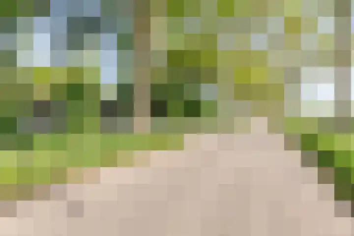 Purmerenderweg 6 Noordbeemster thumbnail 56