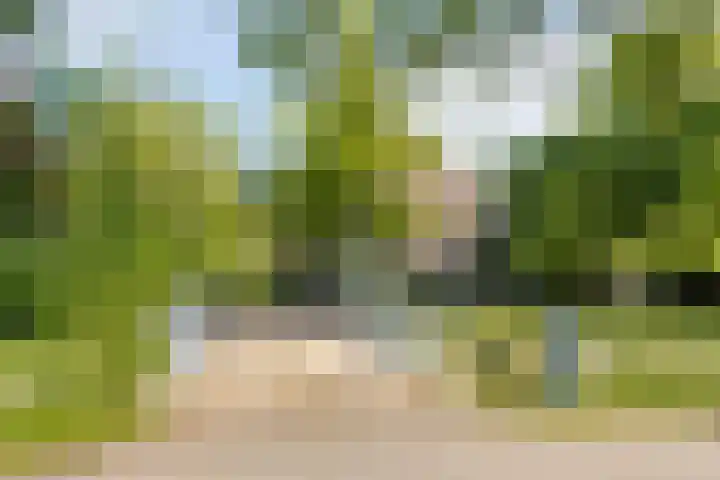 Purmerenderweg 6 Noordbeemster thumbnail 57