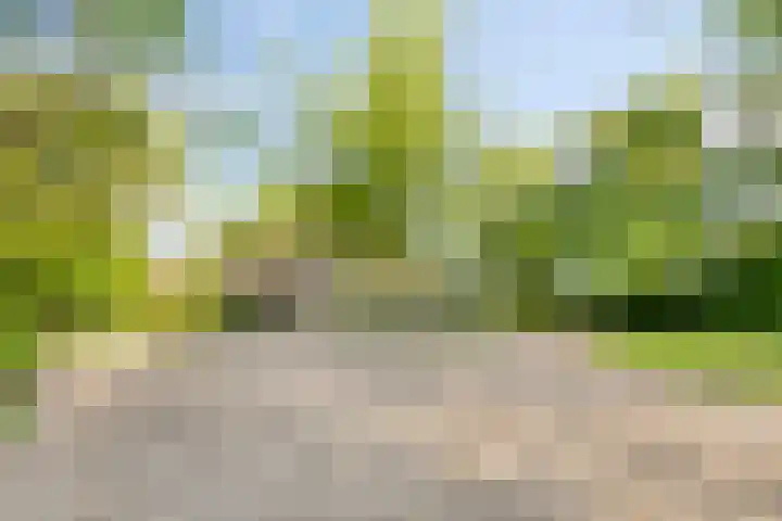 Purmerenderweg 6 Noordbeemster thumbnail 58