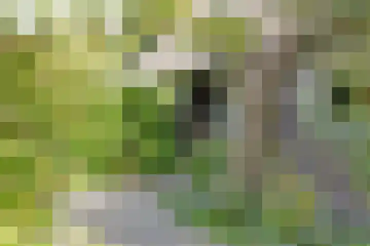 Purmerenderweg 6 Noordbeemster thumbnail 59