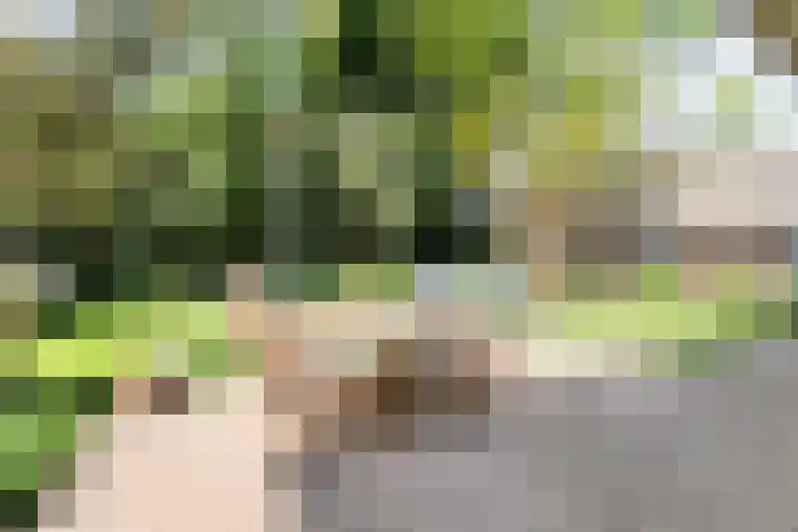 Purmerenderweg 6 Noordbeemster thumbnail 60