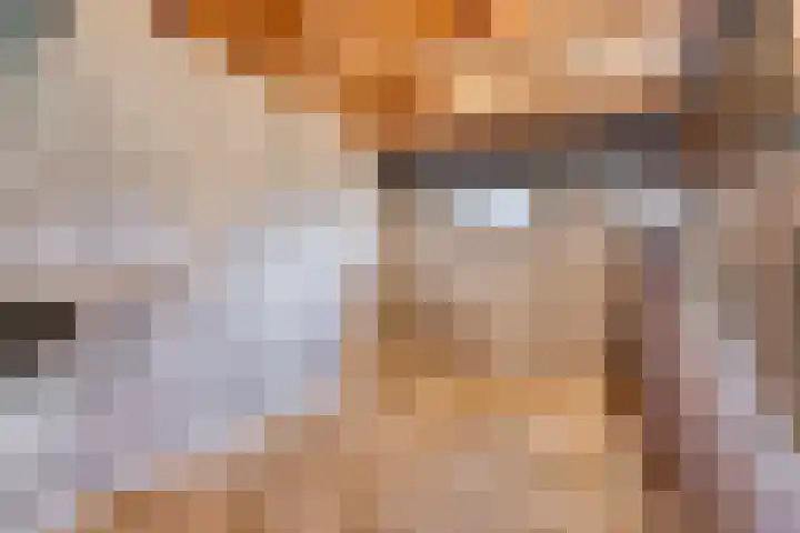 Purmerenderweg 6 Noordbeemster thumbnail 61
