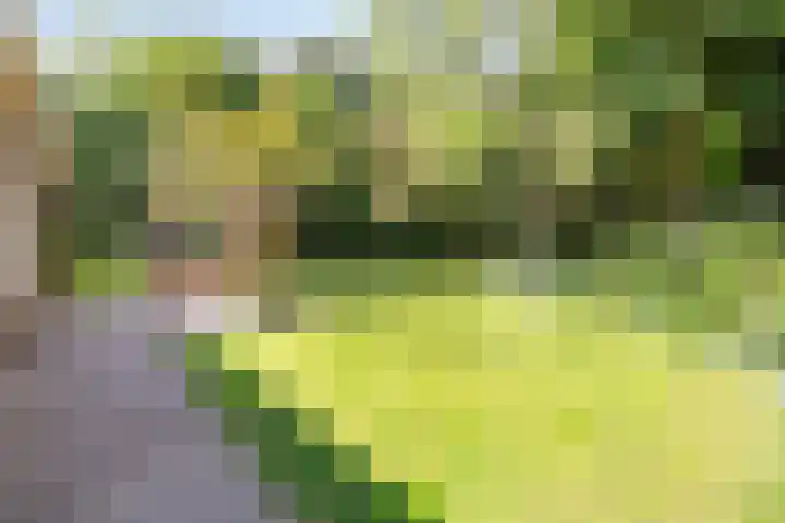 Purmerenderweg 6 Noordbeemster thumbnail 62