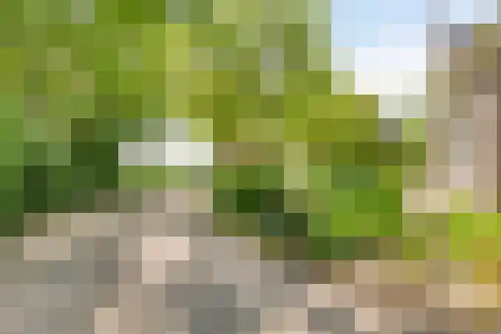 Purmerenderweg 6 Noordbeemster thumbnail 64