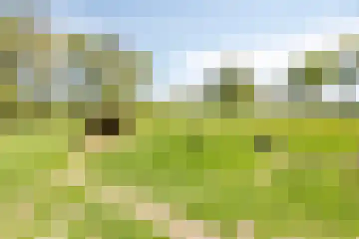 Purmerenderweg 6 Noordbeemster thumbnail 65