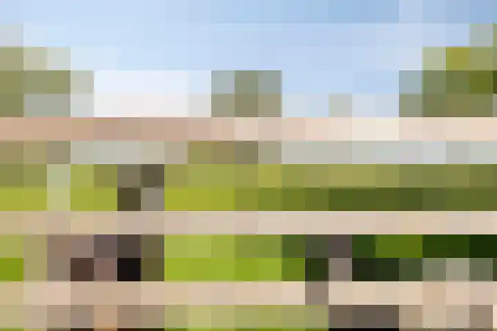 Purmerenderweg 6 Noordbeemster thumbnail 66