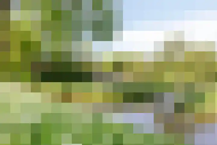 Purmerenderweg 6 Noordbeemster thumbnail 67