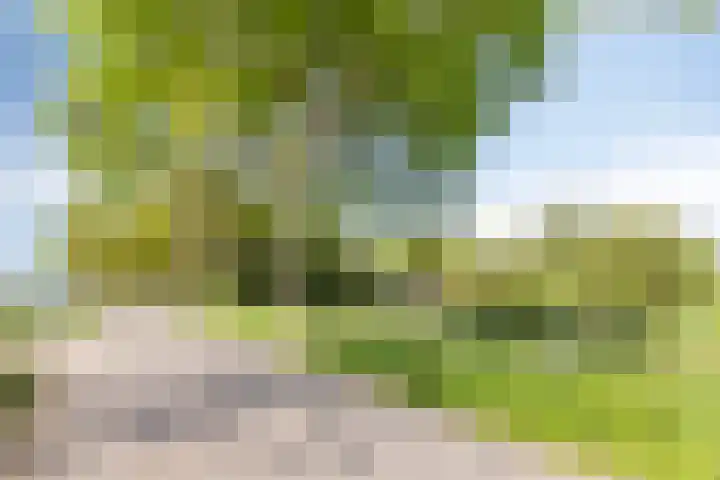 Purmerenderweg 6 Noordbeemster thumbnail 68