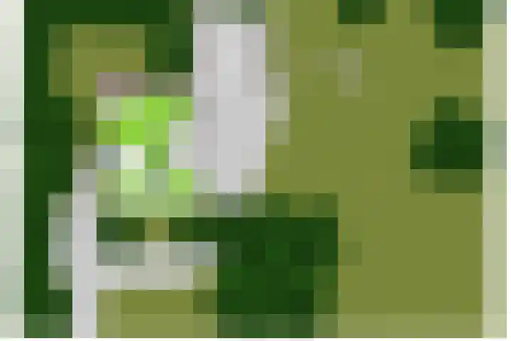 Purmerenderweg 6 Noordbeemster thumbnail 71