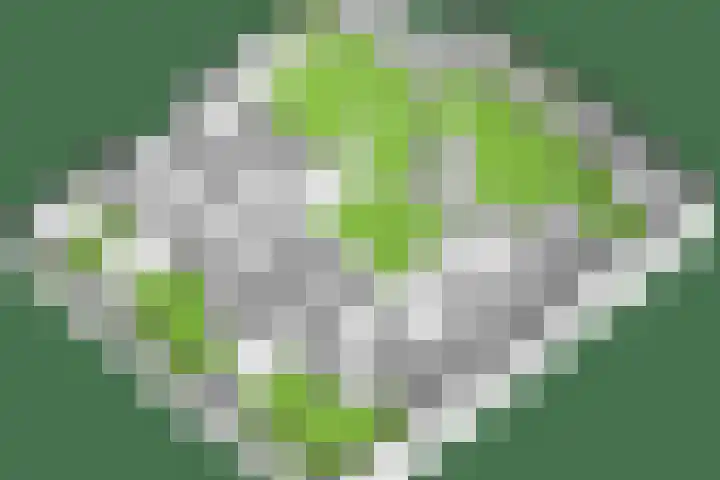 Purmerenderweg 6 Noordbeemster thumbnail 79