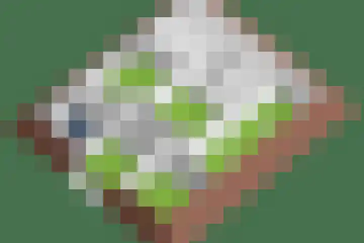 Purmerenderweg 6 Noordbeemster thumbnail 80