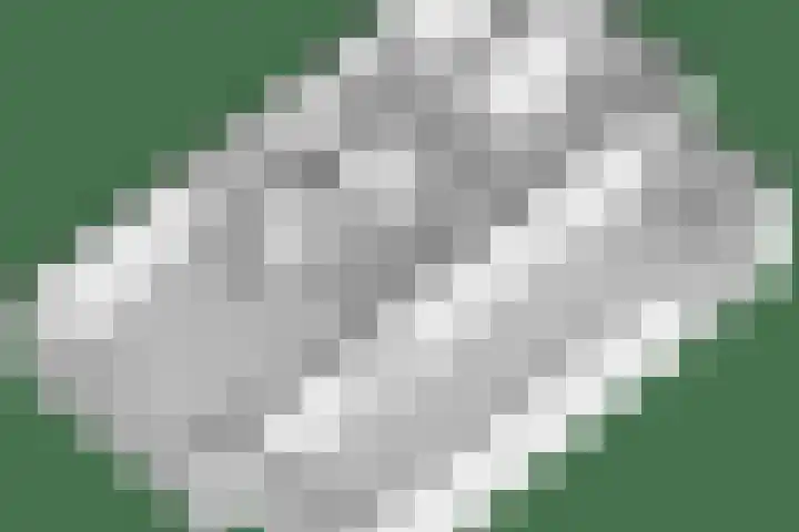 Purmerenderweg 6 Noordbeemster thumbnail 84