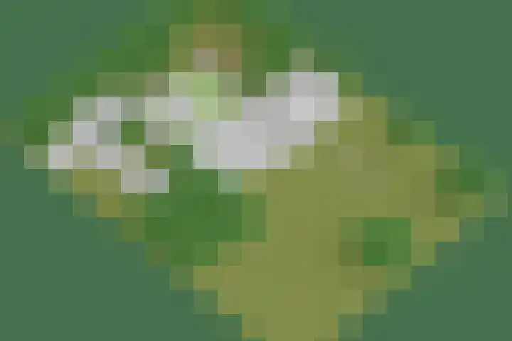 Purmerenderweg 6 Noordbeemster thumbnail 87