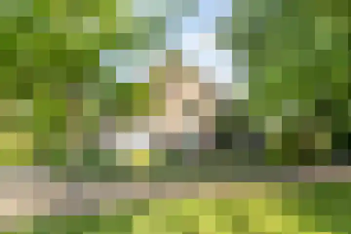 Purmerenderweg 6 Noordbeemster thumbnail 88