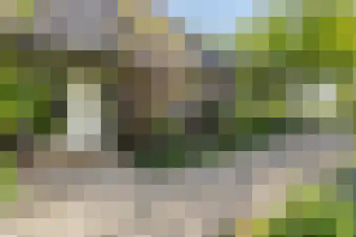 Purmerenderweg 6 Noordbeemster thumbnail 9