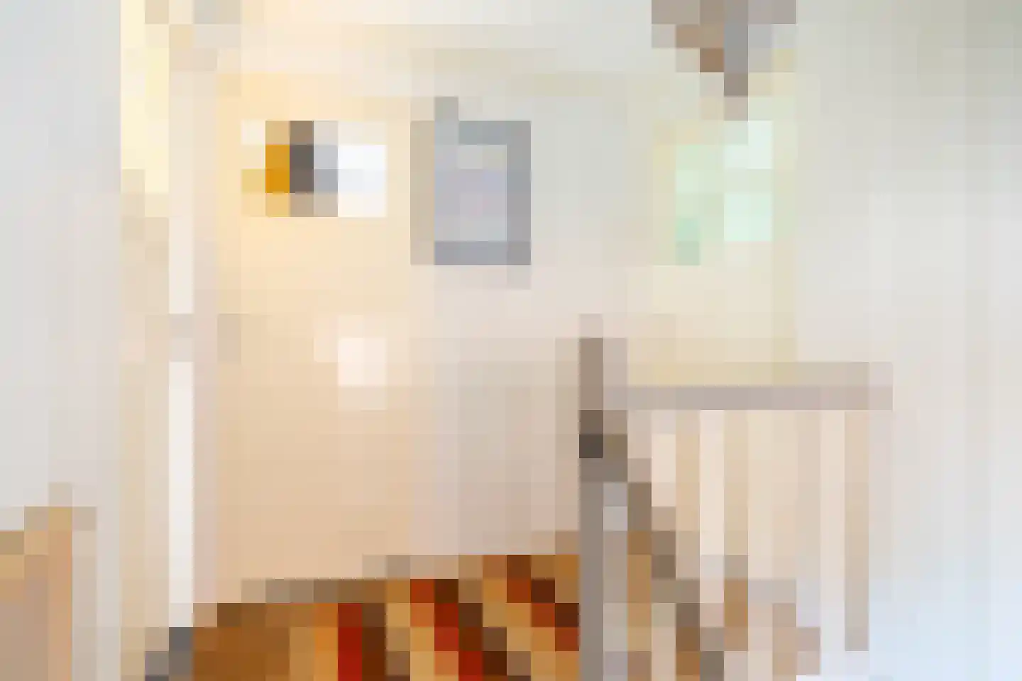 Purmerenderweg 82 Zuidoostbeemster thumbnail 28