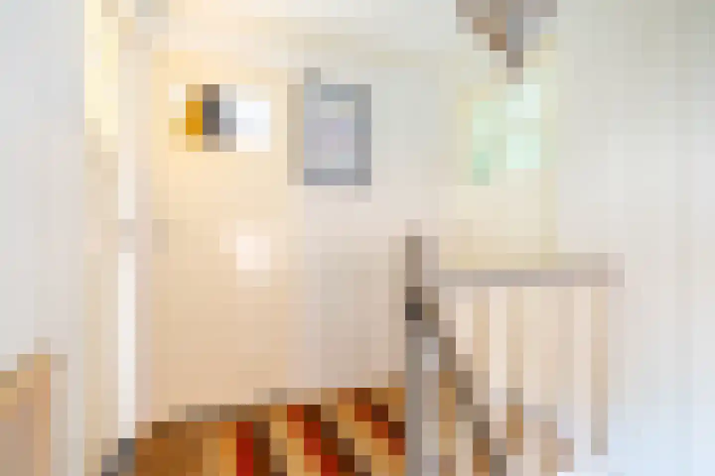 Purmerenderweg 82 Zuidoostbeemster thumbnail 28